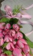Tulipano..il mio fiore preferito!